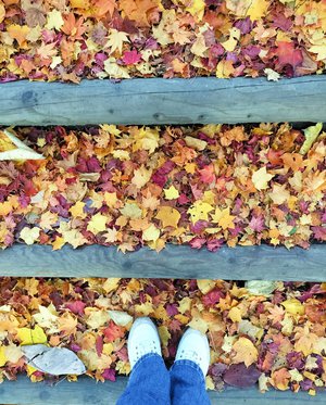 夜の高速を走る時間  #りおたんの満開ブログのサムネイル