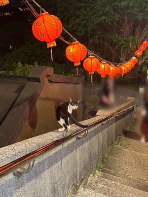 さんかくの日かもしれない - 画像5