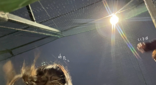 きみは、 - 画像2