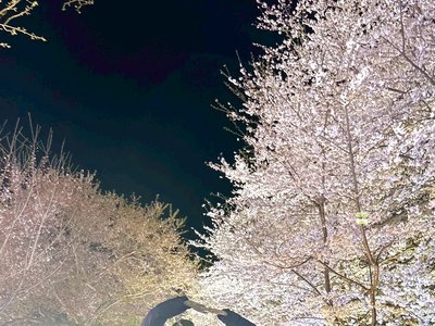 春夏秋冬 - 画像2