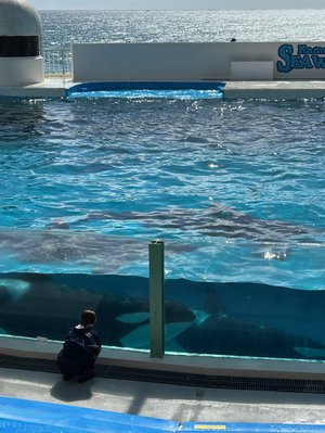 優位だった2025のサムネイル