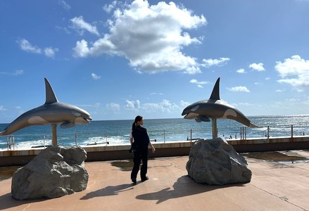 優位だった2025 - 画像2