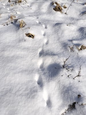 年末の過ごし方  #りおたんの満開ブログ - 画像2