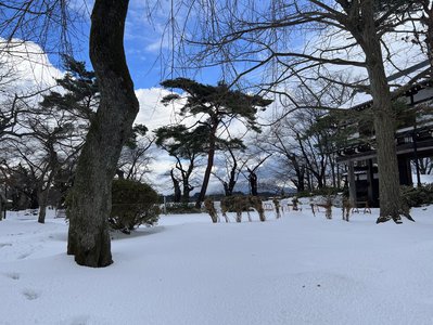 春にして君を離れ - 画像2