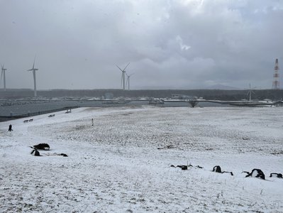 春にして君を離れ - 画像5