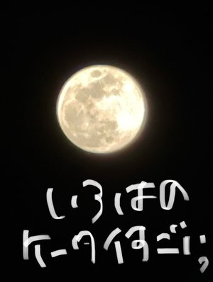 せつなさ - 画像5