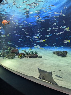 君を夏の日に例えようか - 画像4