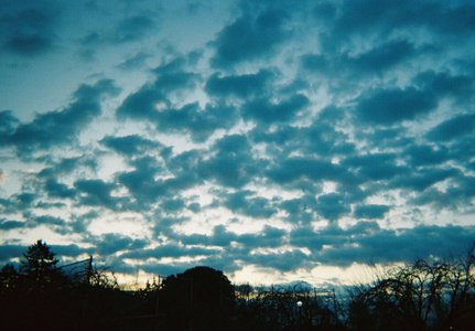 41枚目シングルのサムネイル