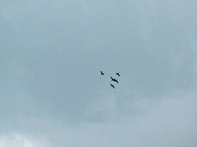 ちゃんと前を向くのサムネイル