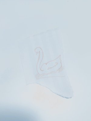 羽はある。のサムネイル