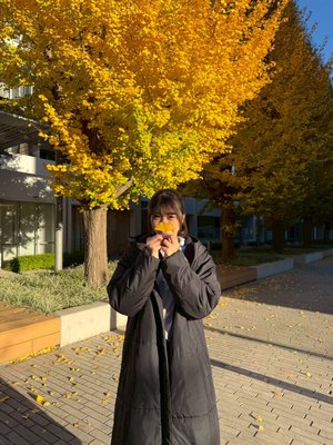 コントラスト - 画像3