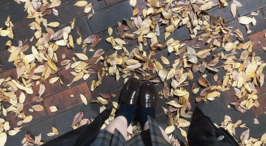 コントラスト - 画像5