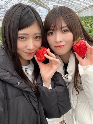 Treasure memories - 画像3