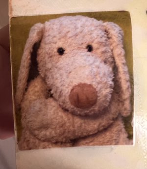 23歳、逆張りからの脱却 - 画像2