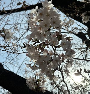 粉々だったの 心のサムネイル