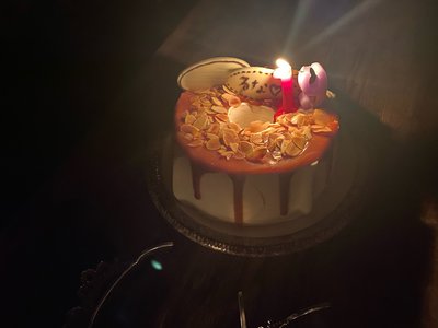 君のように美しく在りたかったんだ - 画像2