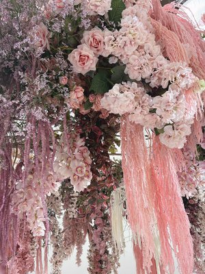 桜橋を教えてくれた - 画像3