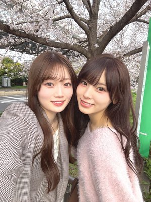 春になったら - 画像3