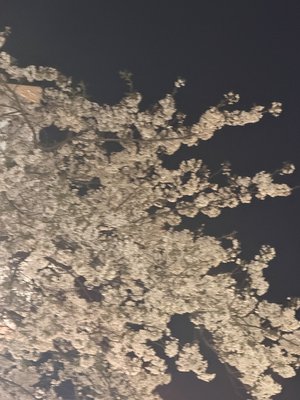 『最後に階段を駆け上がったのはいつだ？』本日発売日です！     #hinadaniblog   #岡本姫奈 - 画像5