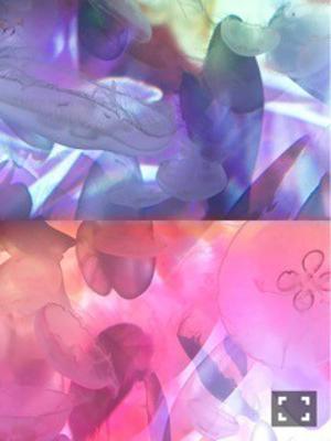夜の冷たさ。梅澤美波 - 画像4
