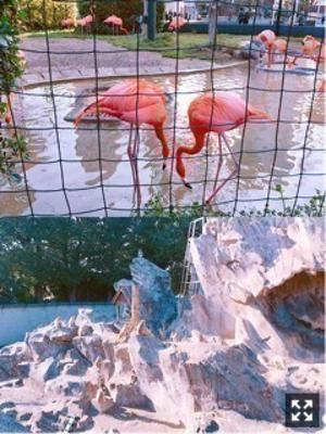 あの隅っこ。梅澤美波 - 画像3