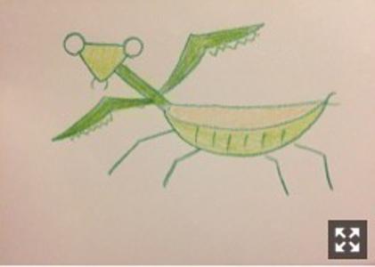 野菜はたくさん食べましょう 佐藤楓 - 画像3