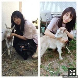 会いに行っちゃった〜   与田祐希 - 画像3