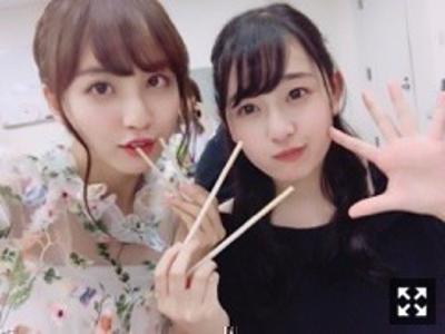 猫と兎  佐藤楓 - 画像2