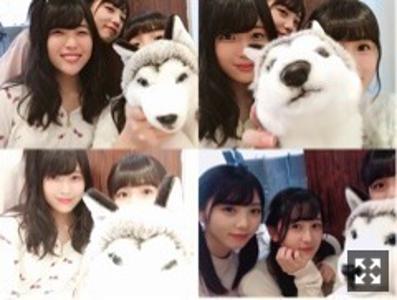 ももももも〜。大園桃子 - 画像3