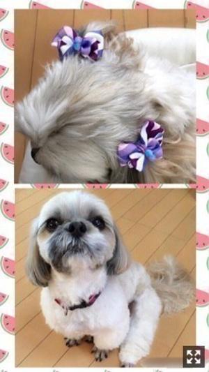 イェーイェー！！ 岩本蓮加 - 画像4