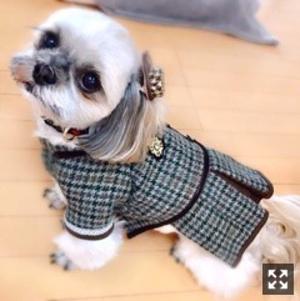 大人に邪魔をさせない 岩本蓮加 - 画像2