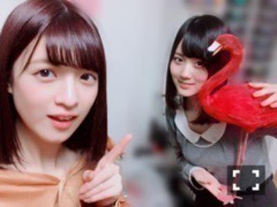 空き缶のプルタブ 吉田綾乃クリスティー - 画像4