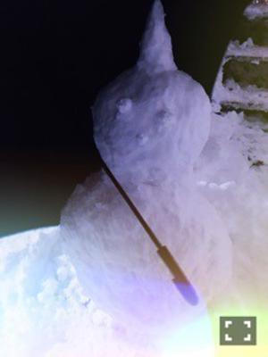 大園桃子 - 画像2