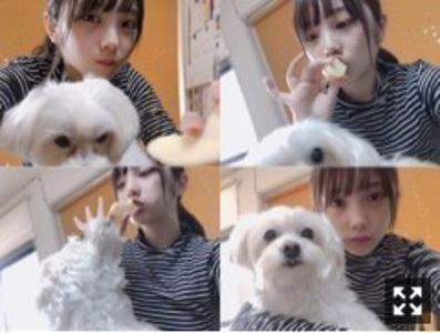 たろうとゆうきとごんぞうと。  個人ブログスタート！与田祐希 - 画像2