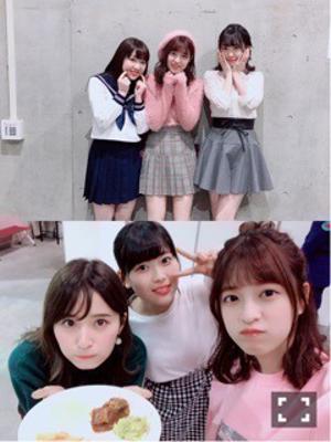 ピンクの表紙 - 画像3