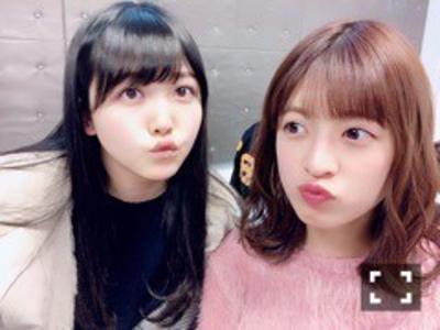 ピンクの表紙 - 画像4