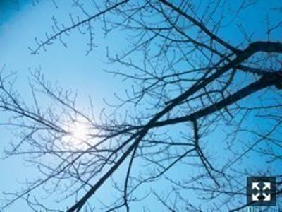 高校の学生時代テストが午前中で終わって自転車で帰宅してる時の匂い〜 - 画像2