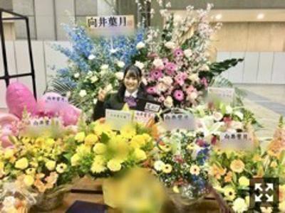 組み合わせたいからたまごとじ。 向井葉月 - 画像2