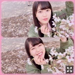 さくらひらり～ぽかぽか - 画像2