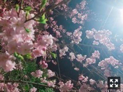 ぶち破ってみちゃう - 画像4