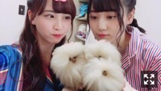 やましたんこぶジャスティス  59. - 画像5