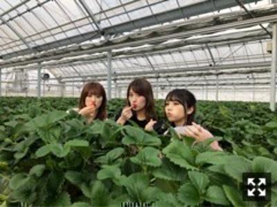 すきすき(*´-`) - 画像6