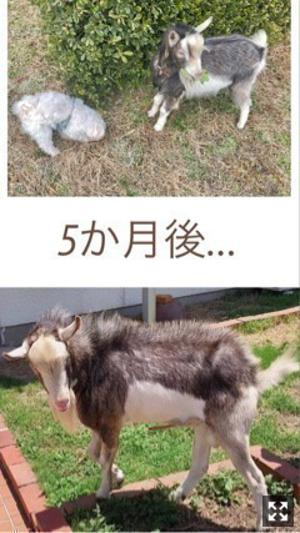 時は金なり！！ - 画像5