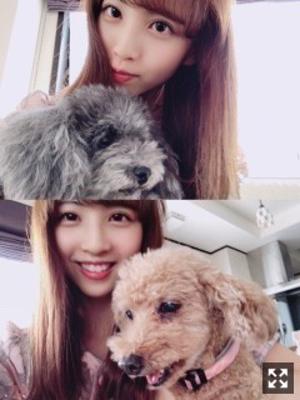 やましいたけマズイ  88. - 画像3