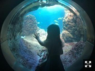 きみがいて本当によかった。70 - 画像3