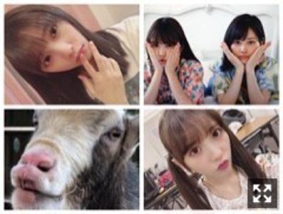 ジコチューな日 - 画像5