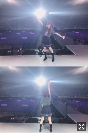 金木犀の季節がもうすぐやってきますね〜 - 画像4