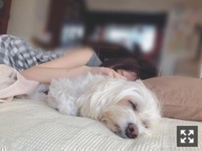 ゆうきのオフの過ごし方とただの惚気 - 画像6