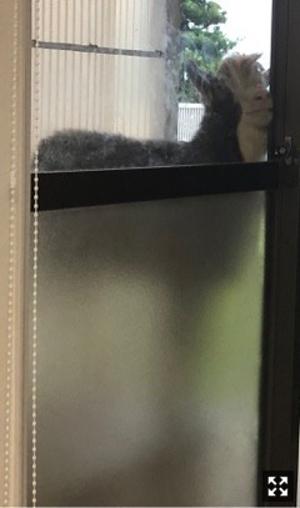 ゆうきのオフの過ごし方とただの惚気 - 画像7