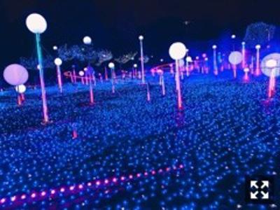 昨日のブログに載せた写真が開けなかったので... - 画像2